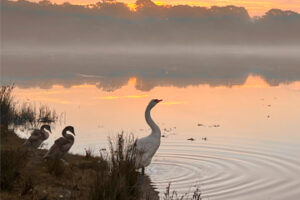 Photo by Sarah Webber - photo competition runner up