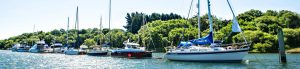Yachts and vessels moored on the Beaulieu River