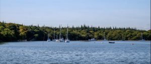 Boat moorings on the Beaulieu River