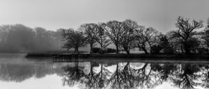 Barry Armstrong photo competition entry 2016 - shortlisted