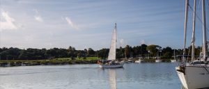 A visiting yacht on the Beaulieu River