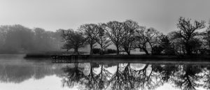 Barry Armstrong photo competition entry 2016 - shortlisted