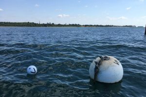 Visitor Buoy on the Beaulieu River