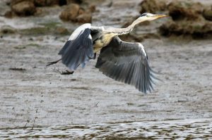 2018 photo competition winner - Bobbie Torkington