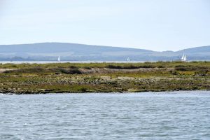 Beaulieu River guide-230 - 1440px