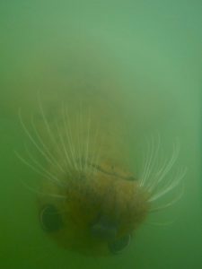 2019 SHORTLISTED Richard Holgate