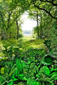 2019 SHORTLISTED - Alison Matthews