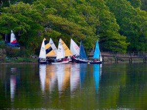 2019 SHORTLISTED - Vanessa Cook