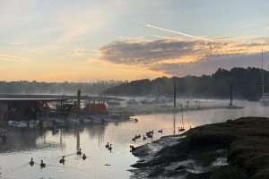 Beaulieu-River-photo-competition-James Williamson- (870x580)