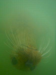 Richard-Holgate-(870)