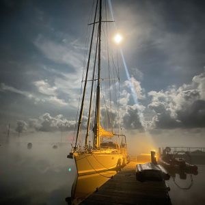 2020 SHORTLISTED - Rob Miller