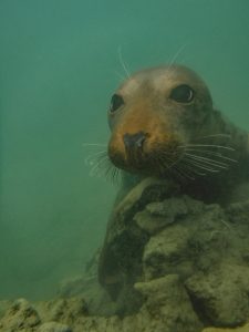 Runner Up - Richard-Holgate